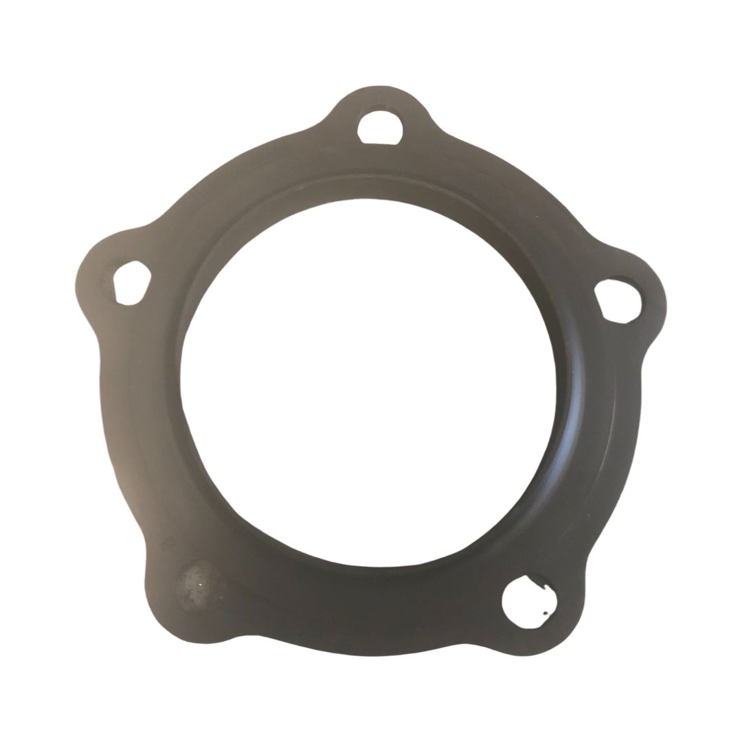 FLANGE GASKET WITH 5 HOLES